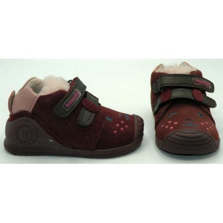 BIOMECANICS 201114 BURDEOS