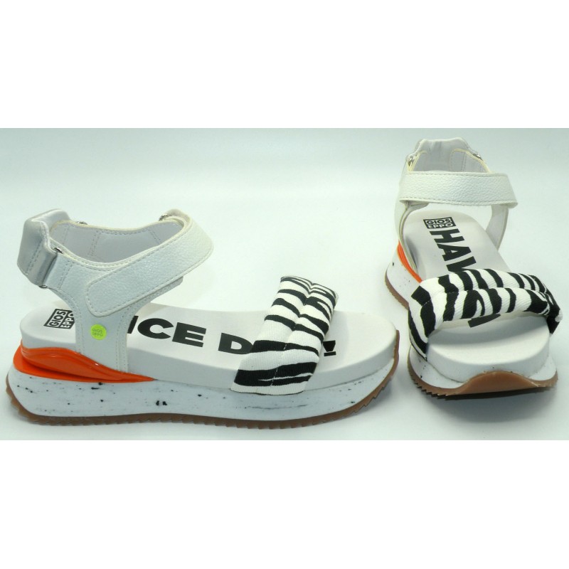 GIOSEPPO 65501 CEBRA