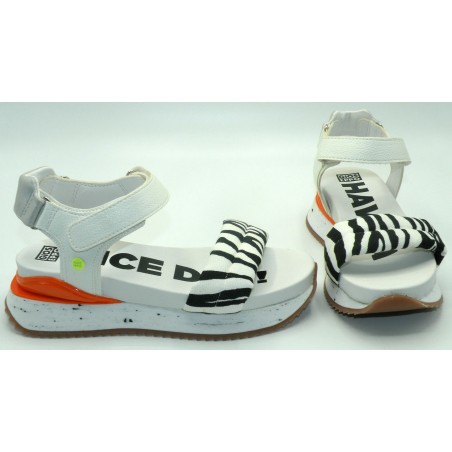 GIOSEPPO 65501 CEBRA