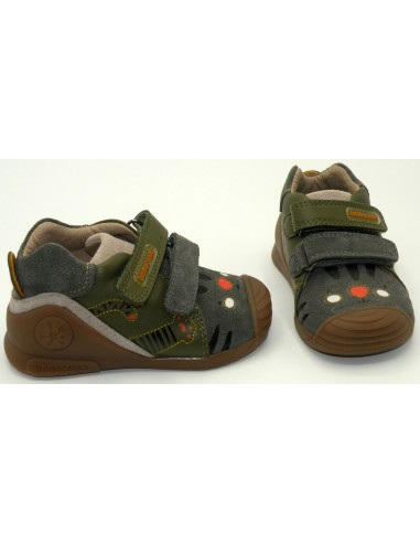 BIOMECANICS 221126-A KAKI