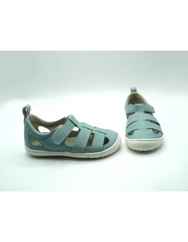 COQUEFLEX 15248 AGUA