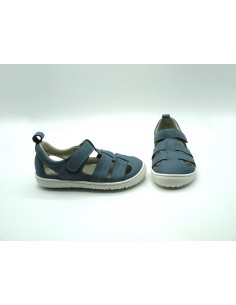 COQUEFLEX 15248 AZAFATA