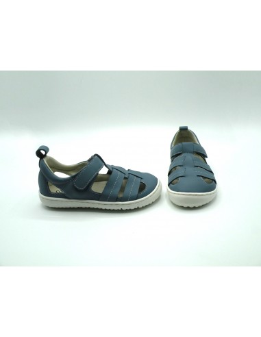 COQUEFLEX 15248 AZAFATA