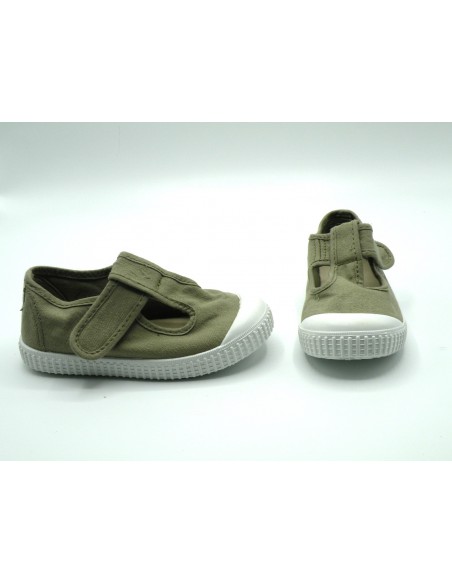 VICTORIA  33625 ALOE