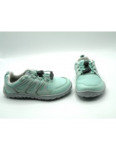 SAGUARO FORESTEP I AGUA