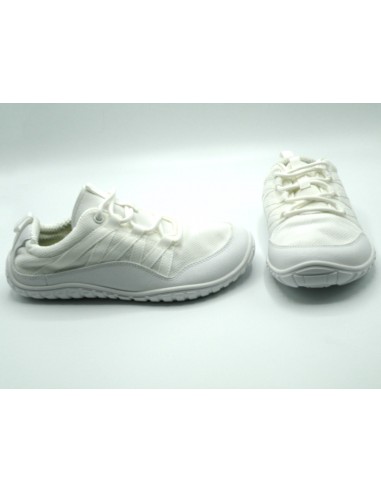 SAGUARO FORESTEP II WHITE